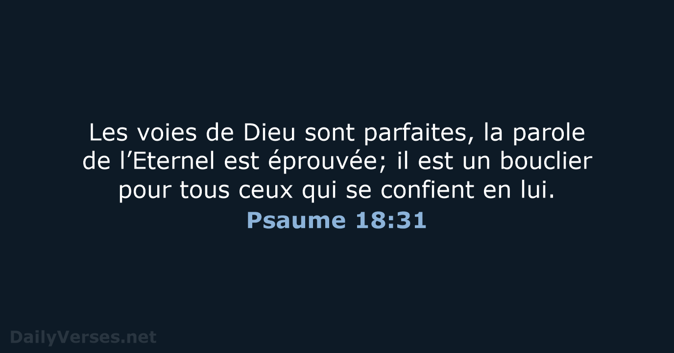 Psaume 18:31 - NEG79