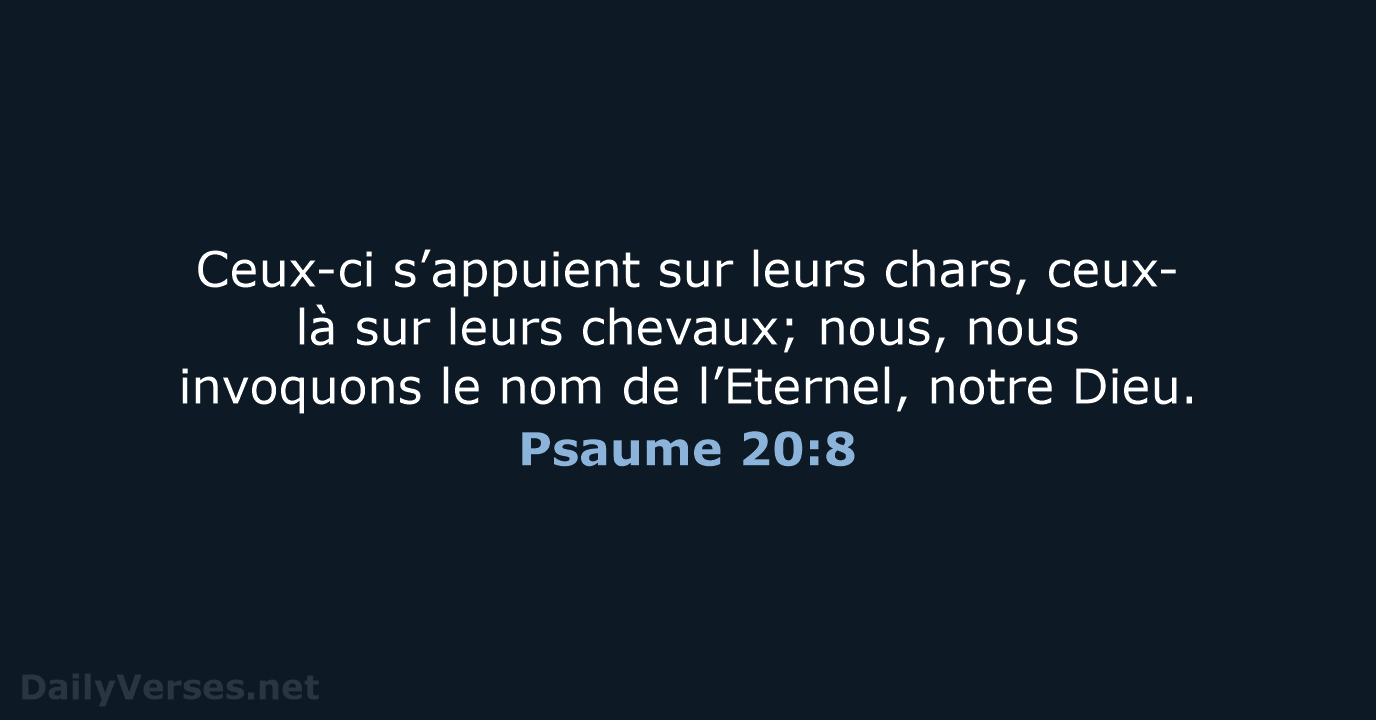 Psaume 20:8 - NEG79