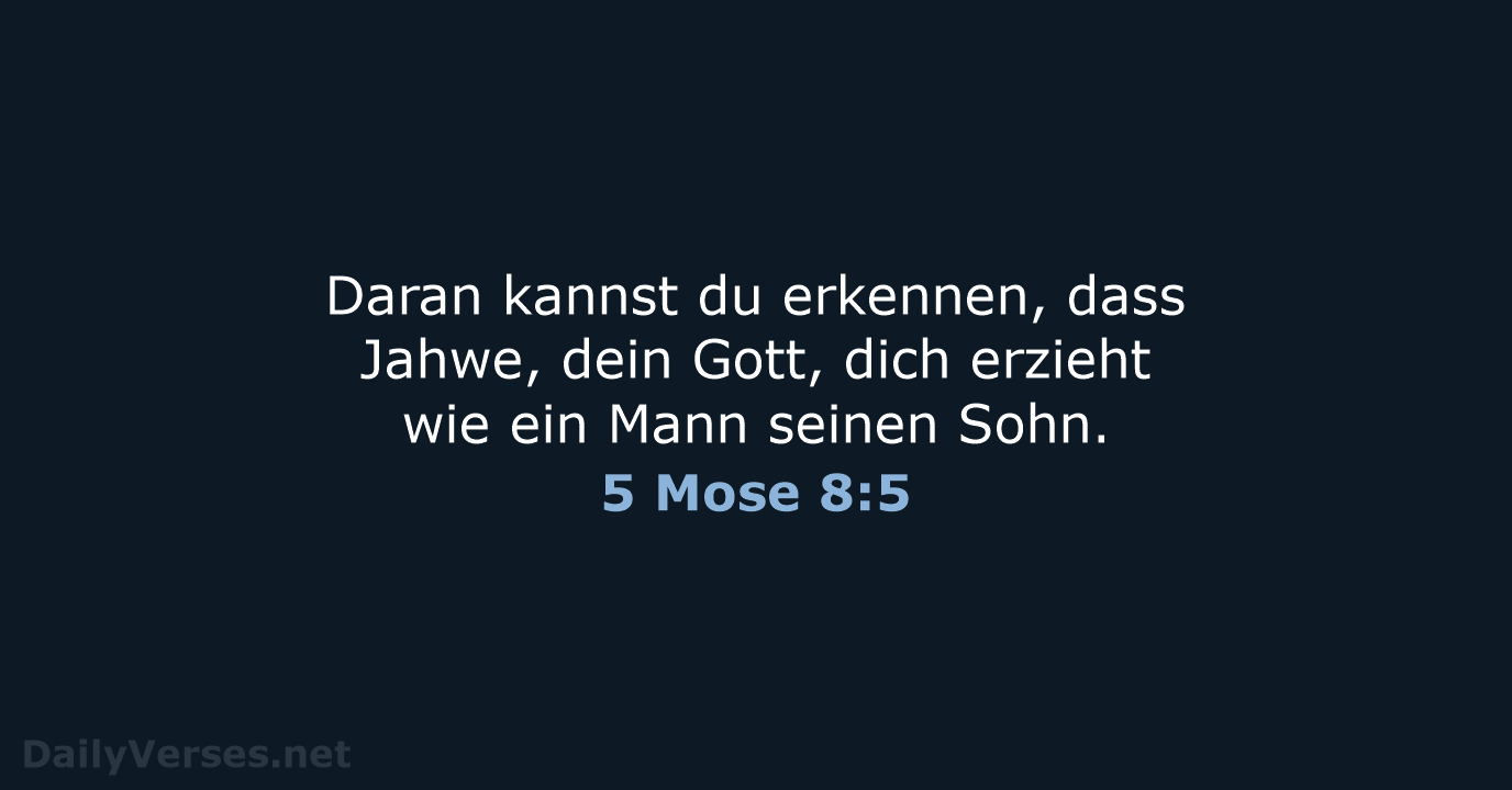 5 Mose 8:5 - NeÜ