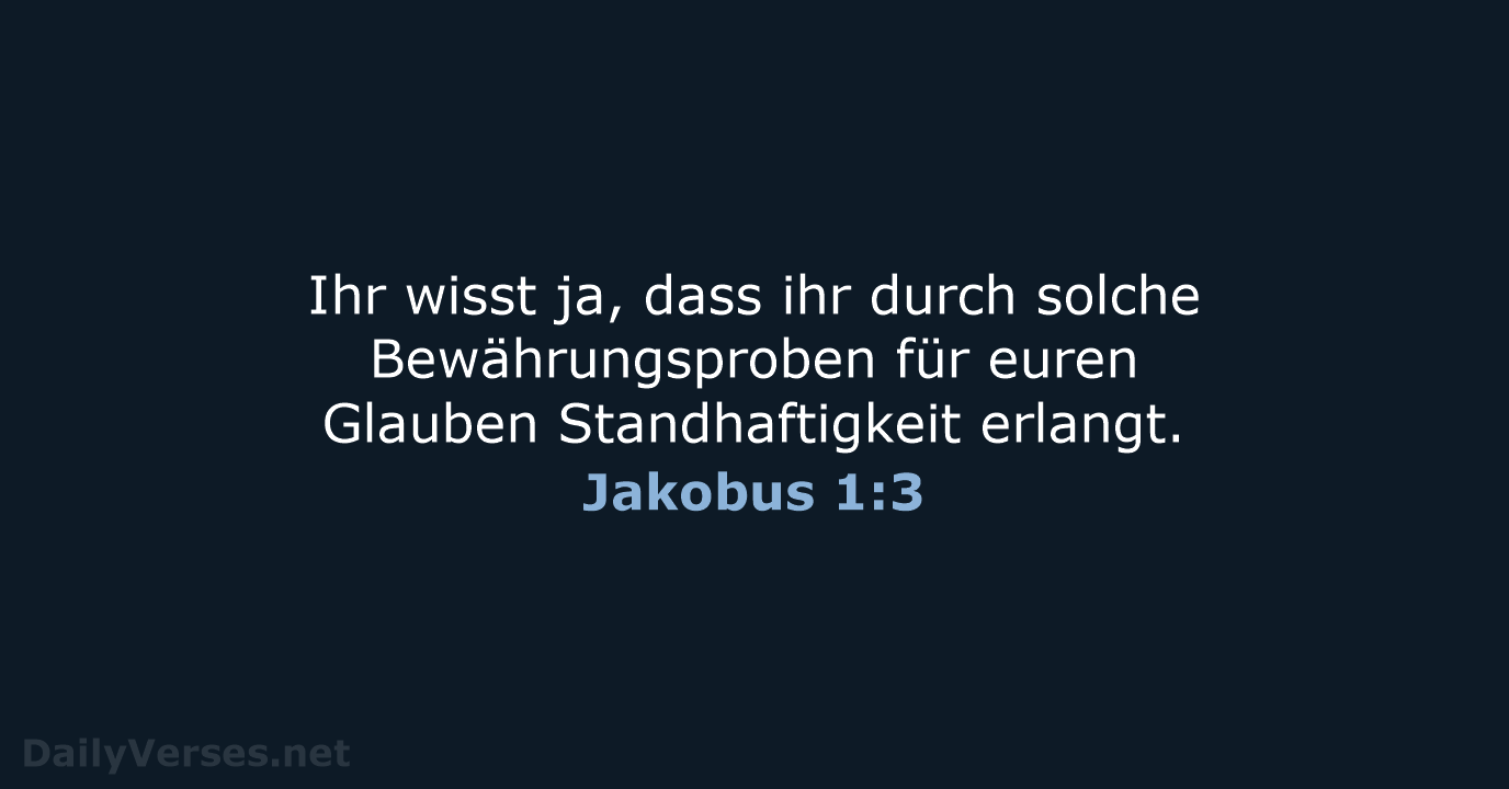 Jakobus 1:3 - NeÜ