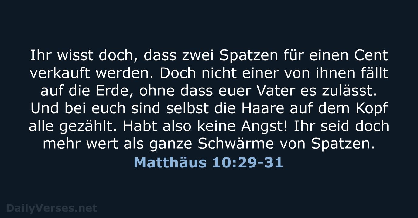 Matthäus 10:29-31 - NeÜ