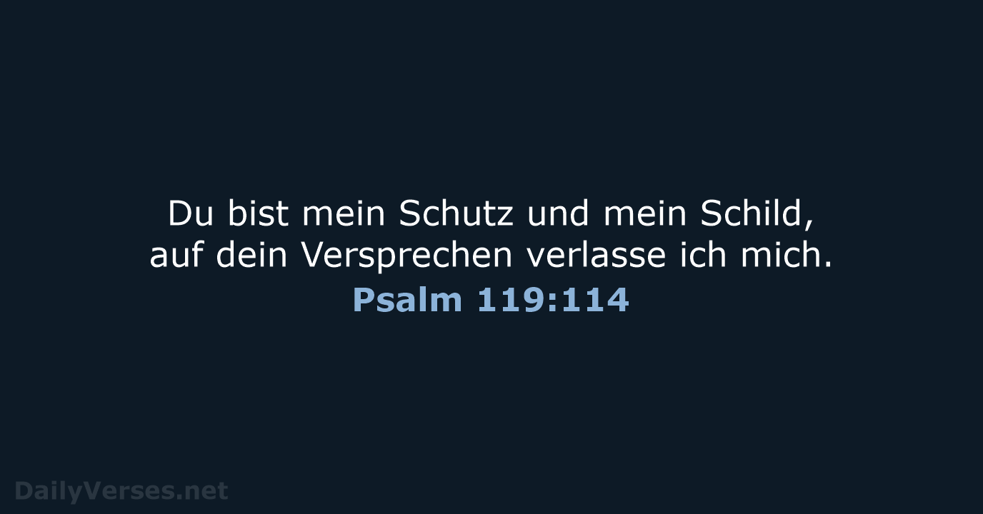 Psalm 119:114 - NeÜ