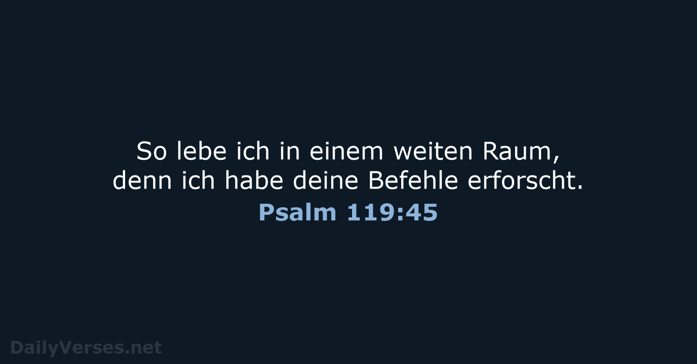 Psalm 119:45 - NeÜ