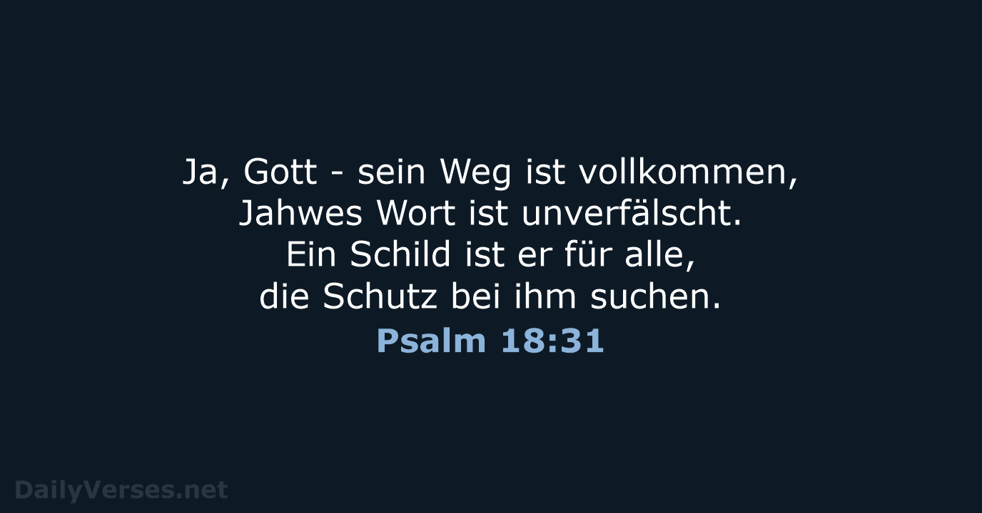 Psalm 18:31 - NeÜ