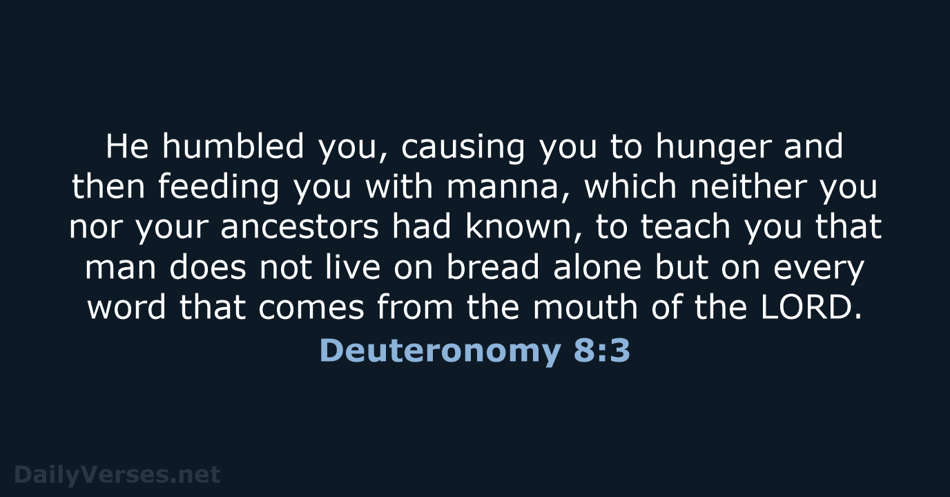 Deuteronomy 8:3 - NIV