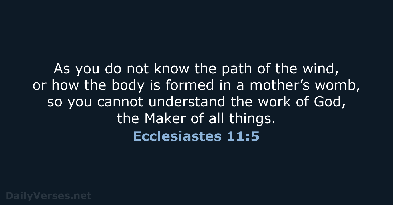 Ecclesiastes 11:5 - NIV
