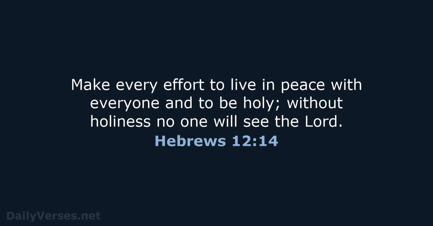 Hebrews 12:14 - NIV