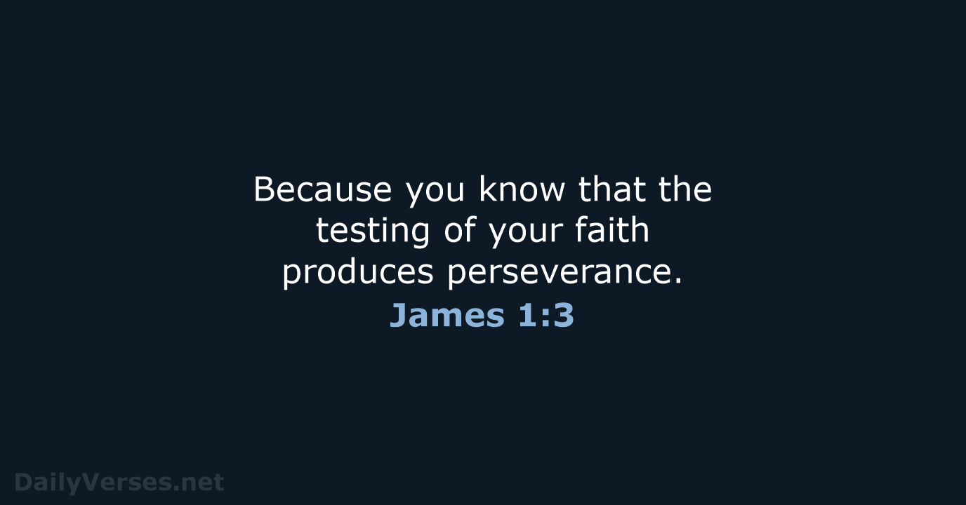 James 1:3 - NIV