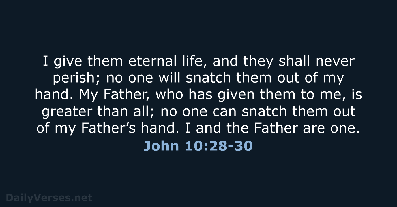 John 10:28-30 - NIV