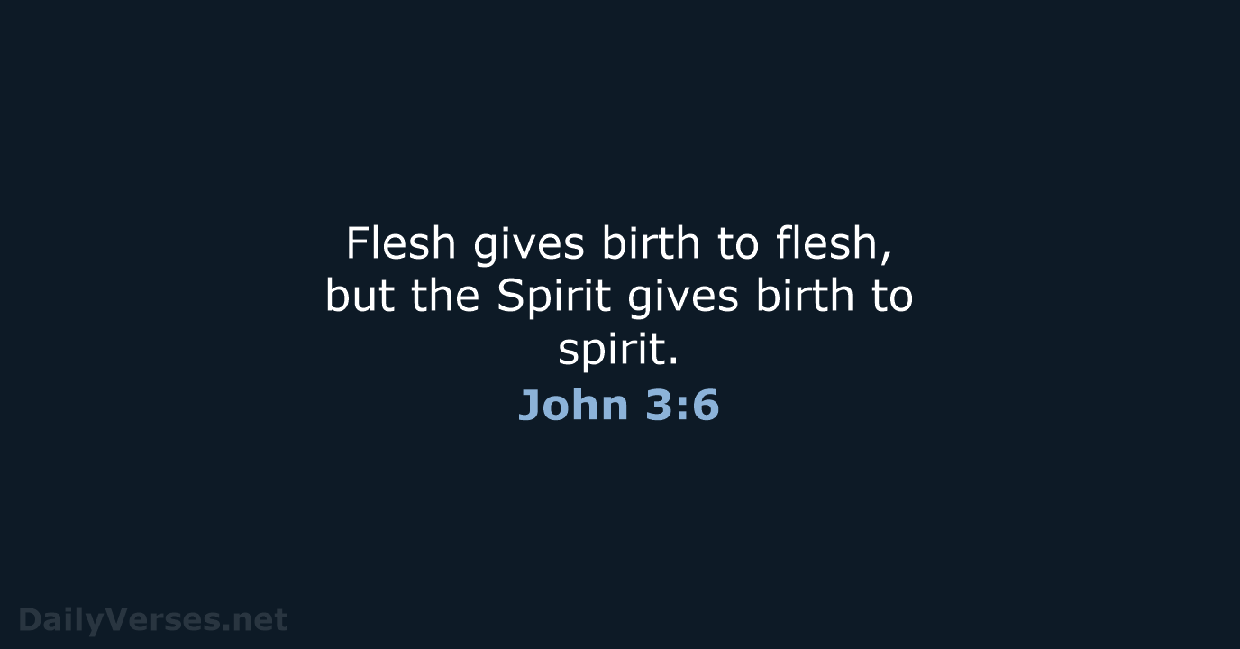 John 3:6 - NIV