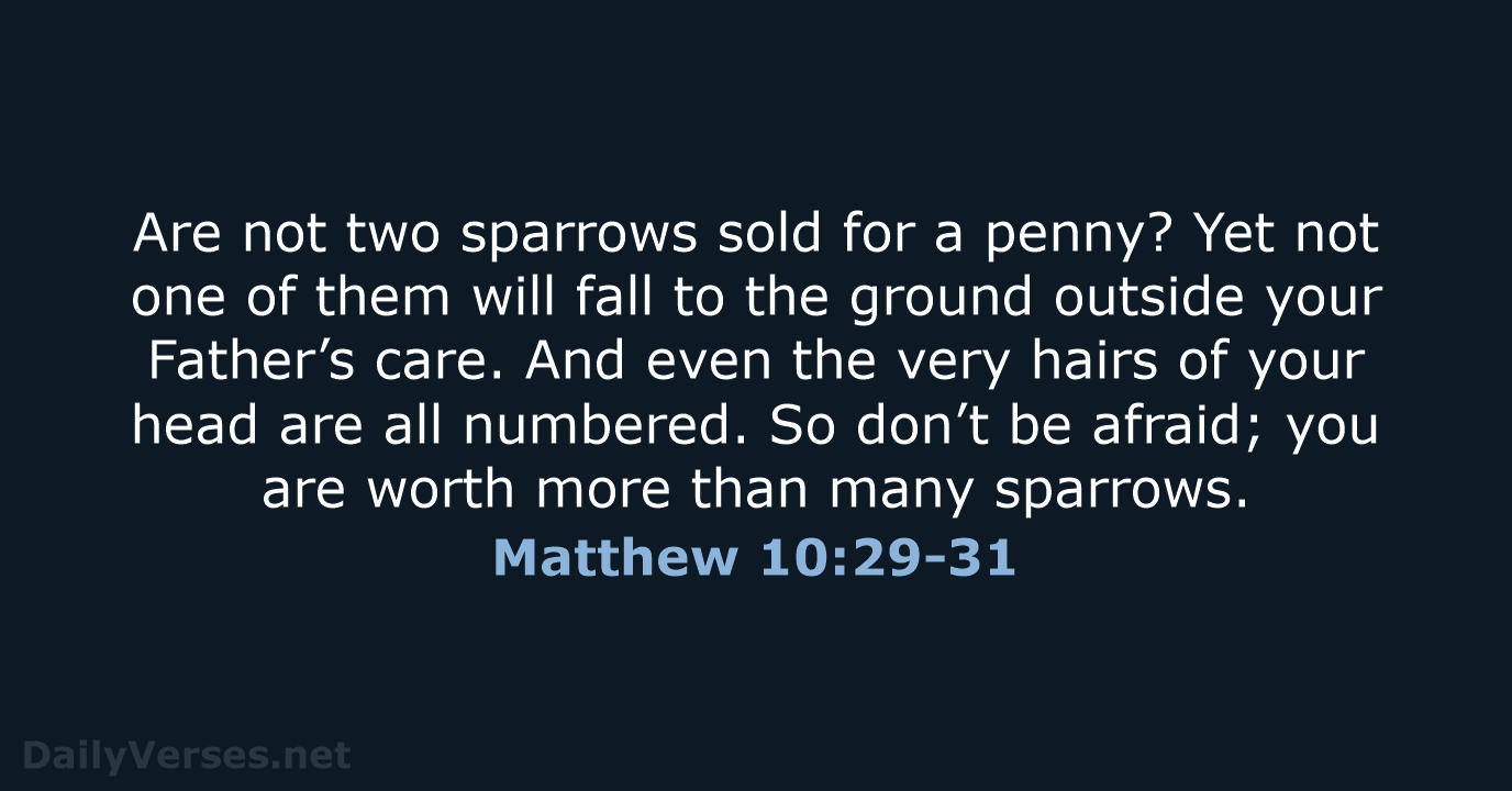 Matthew 10:29-31 - NIV