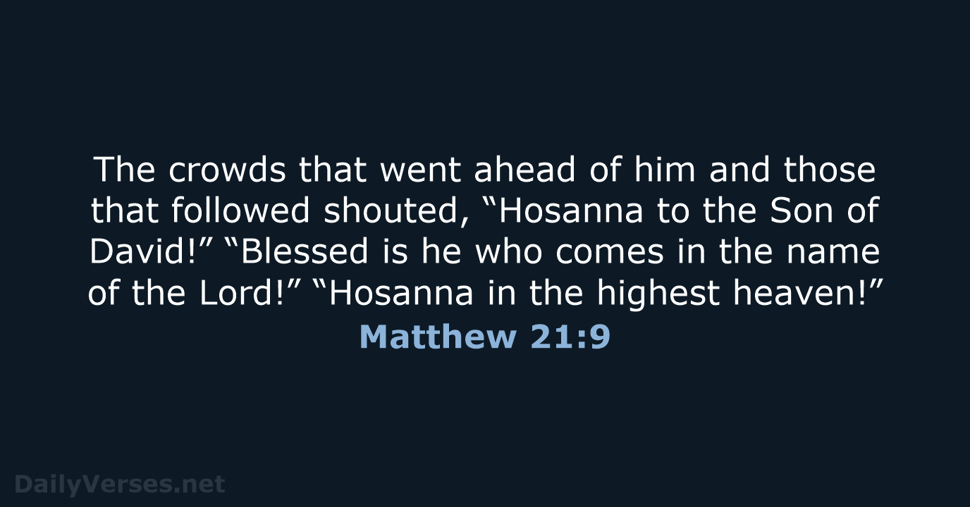 Matthew 21:9 - NIV