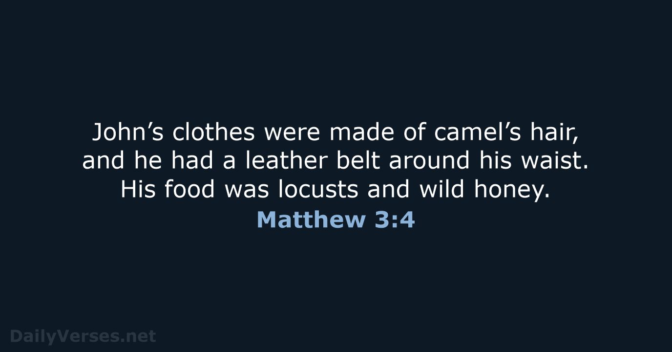 matthew 3 4