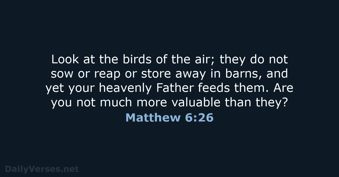 Matthew 6:26 - NIV