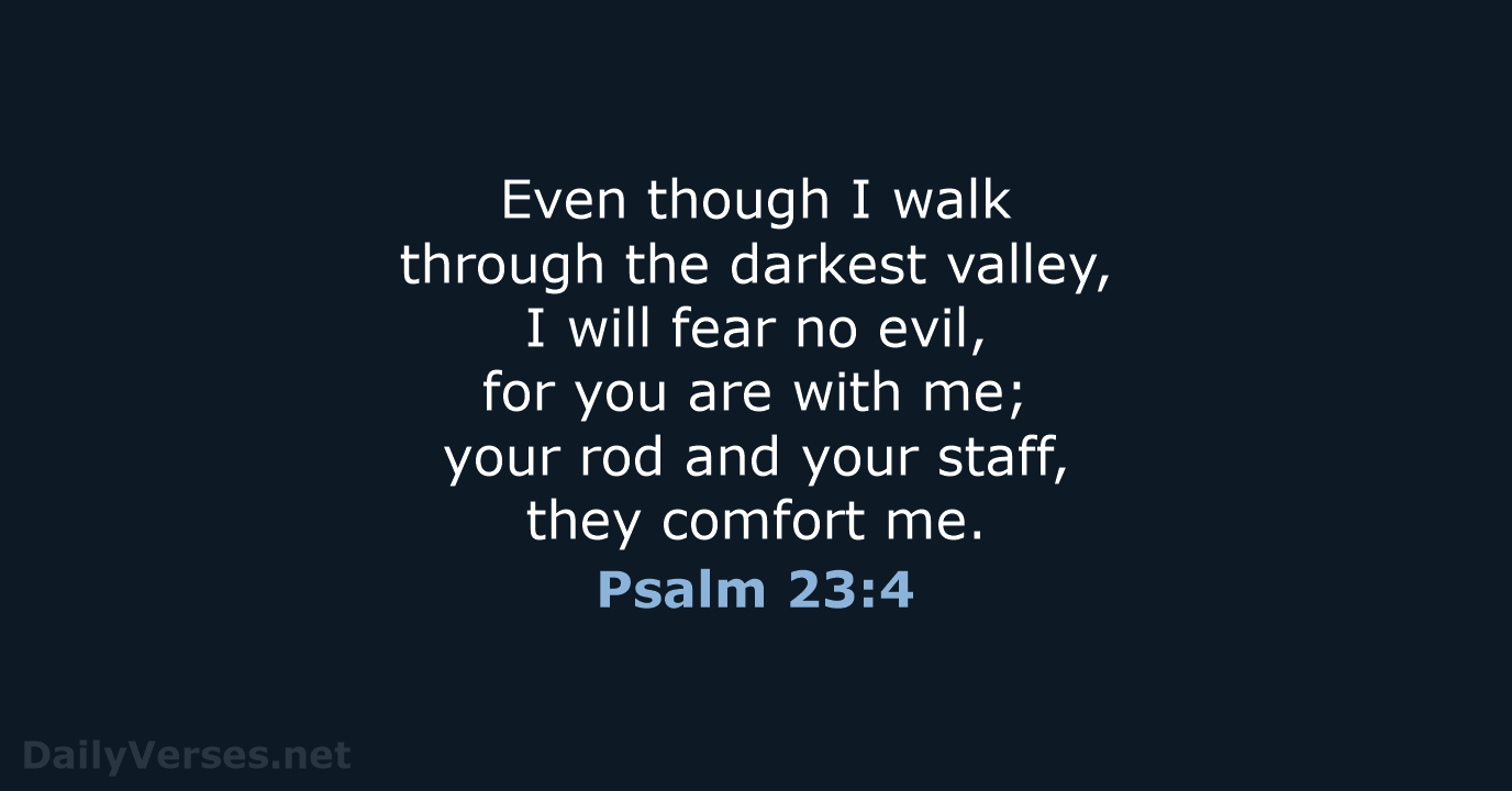 Psalm 23:4 - NIV