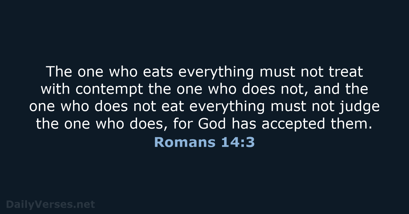 Romans 14:3 - NIV