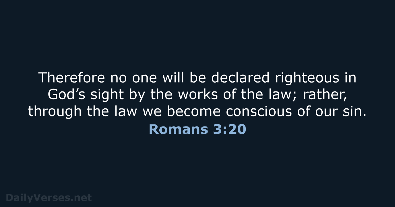 Romans 3 20 Bible Verse DailyVerses