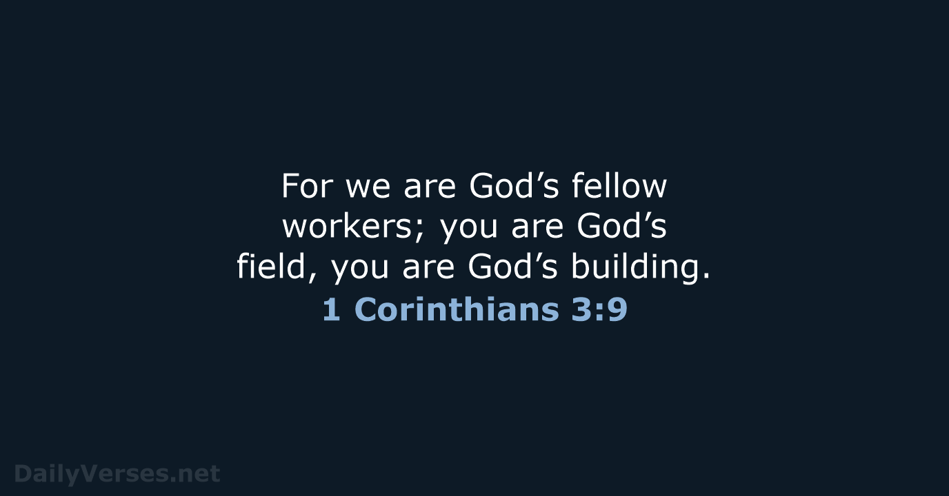 For we are God’s fellow workers; you are God’s field, you are God’s building. 1 Corinthians 3:9