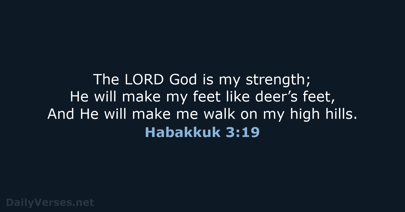 Habakkuk 3:19 - NKJV
