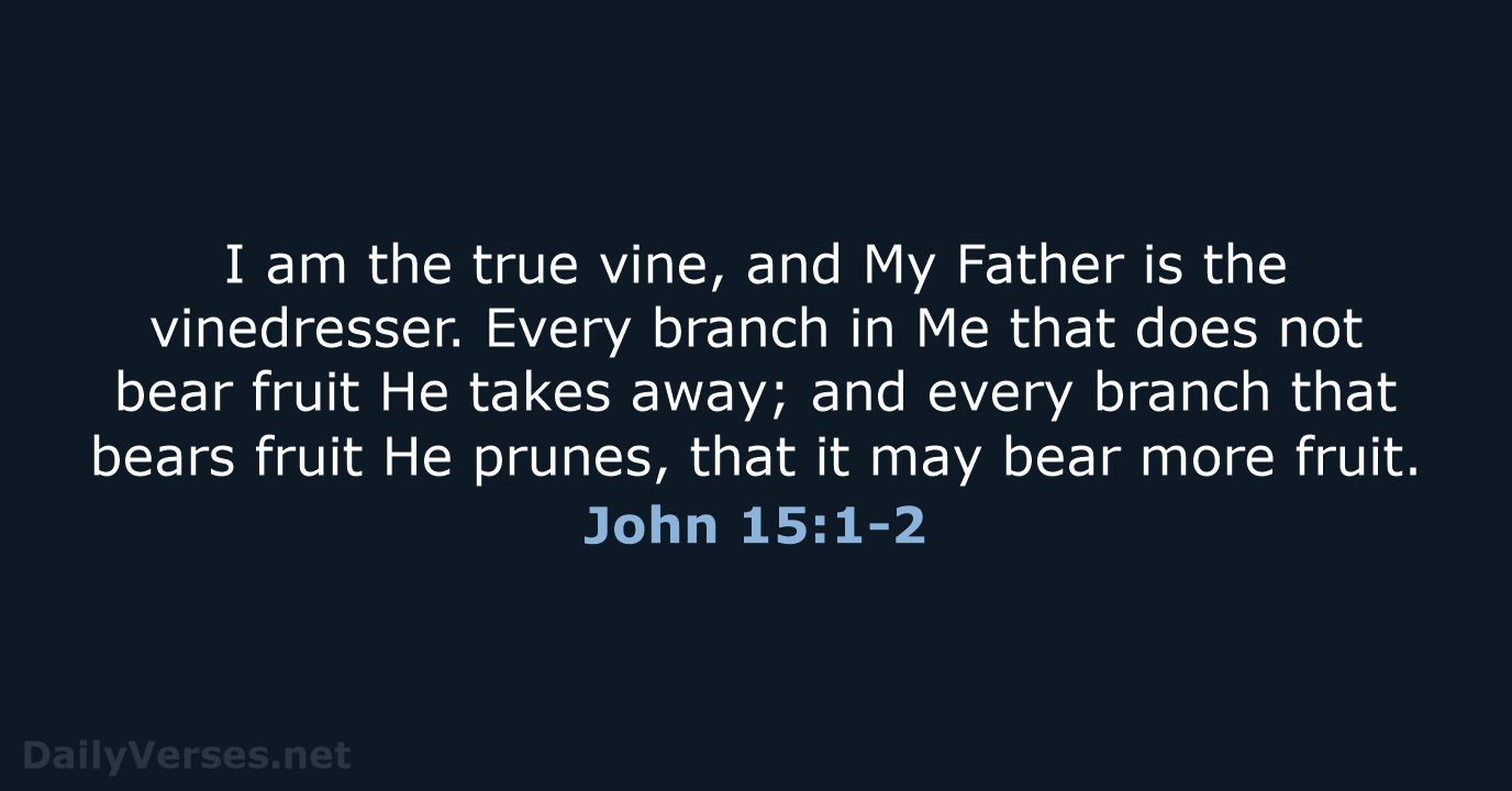 John 15:1-2 - NKJV