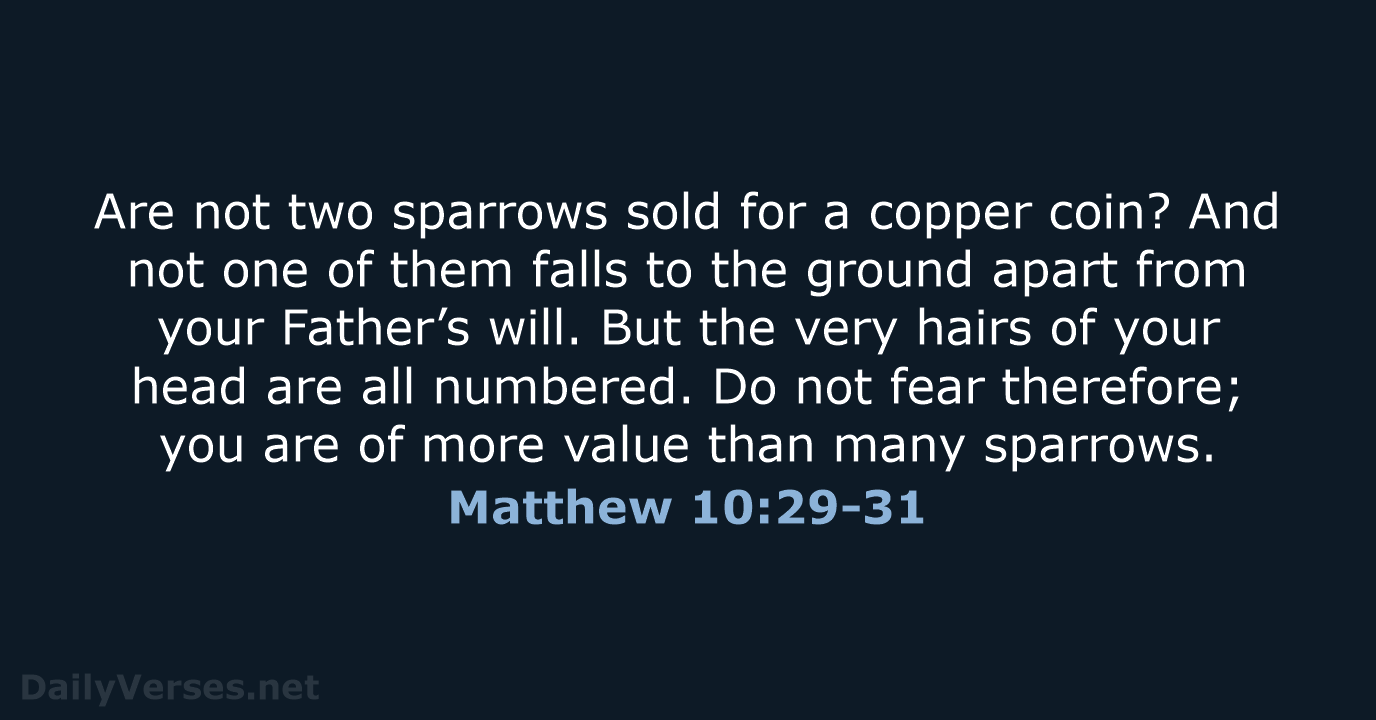 August 22 2020 Bible Verse Of The Day NKJV Matthew 10 29 31 