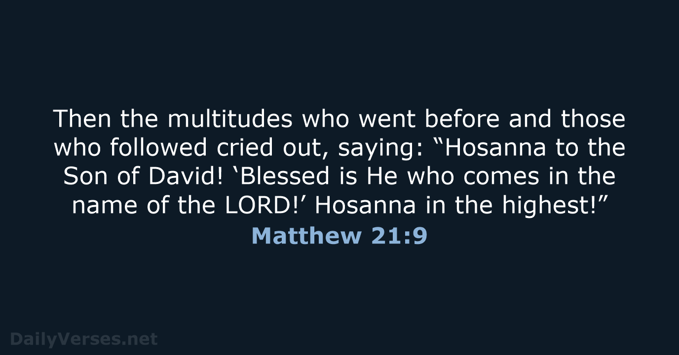 Then the multitudes who went before and those who followed cried out… Matthew 21:9