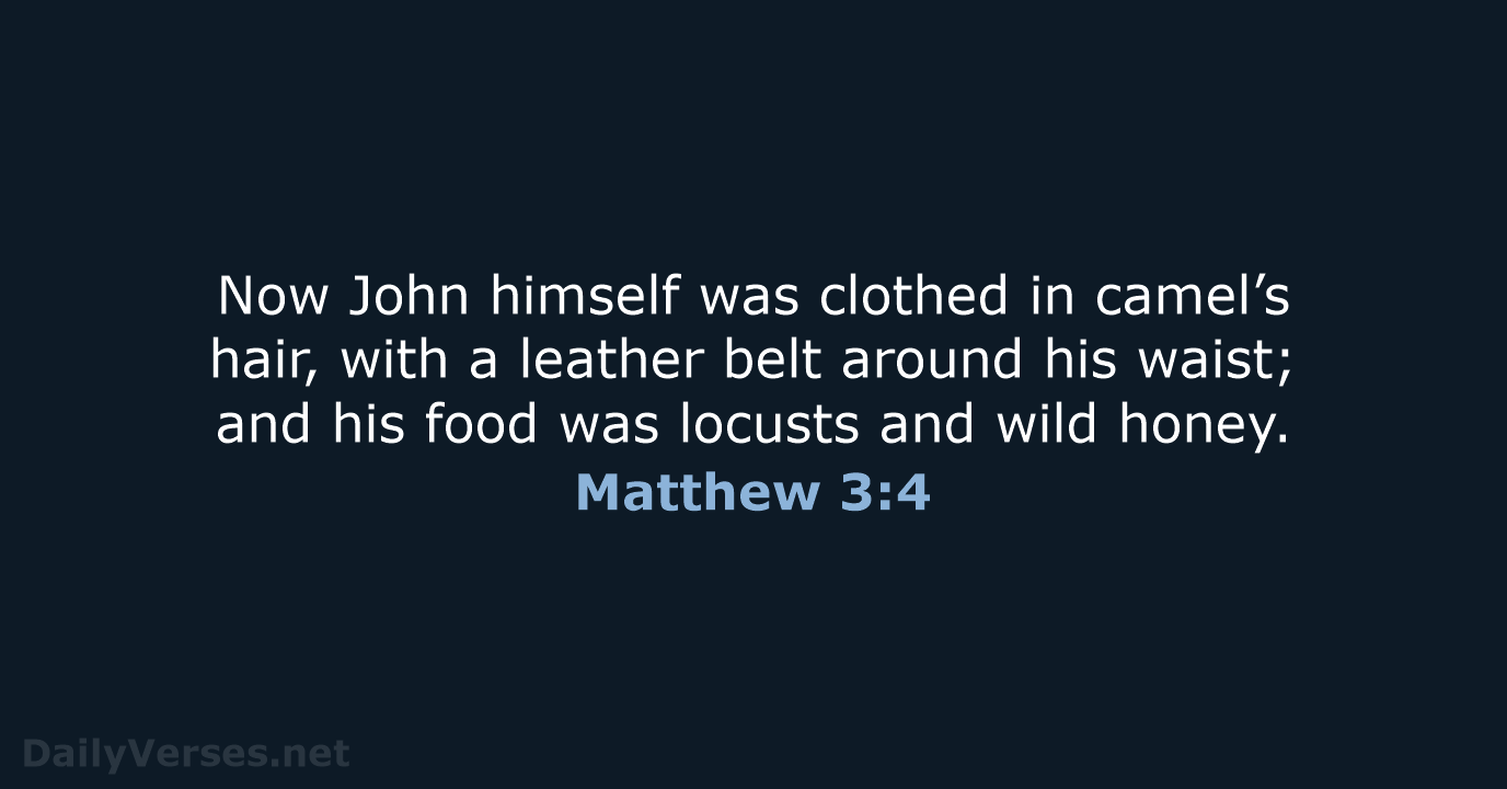 Now John himself was clothed in camel’s hair, with a leather belt… Matthew 3:4