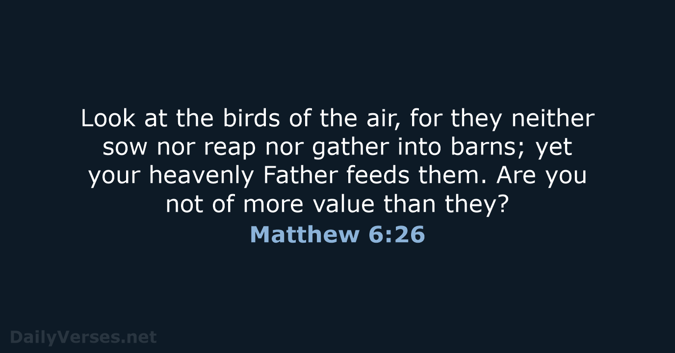 Matthew 6:26 - NKJV
