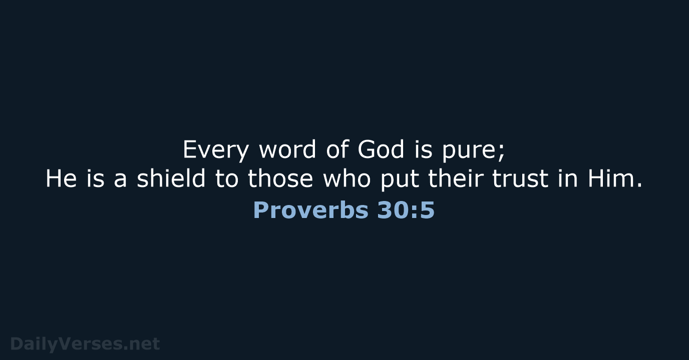 Every word of God is pure; He is a shield to those… Proverbs 30:5