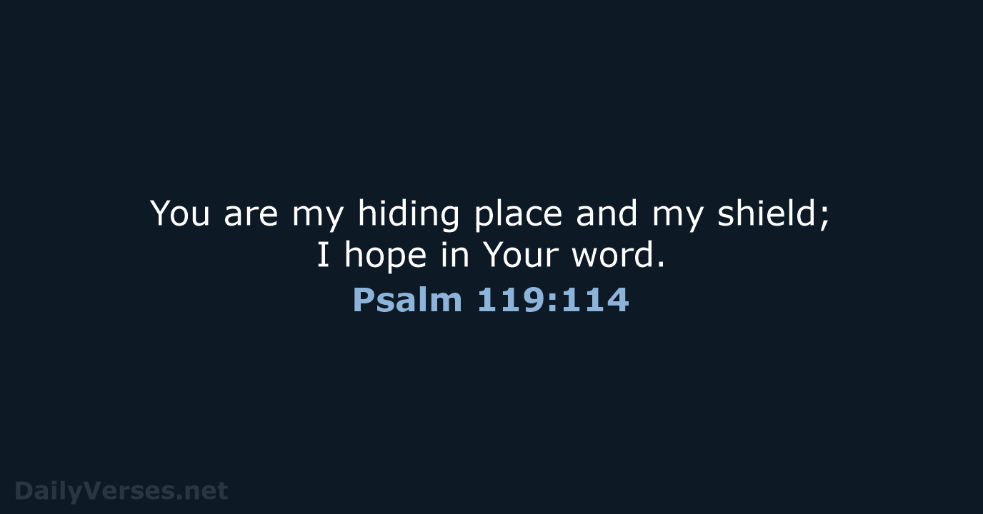You are my hiding place and my shield; I hope in Your word. Psalm 119:114