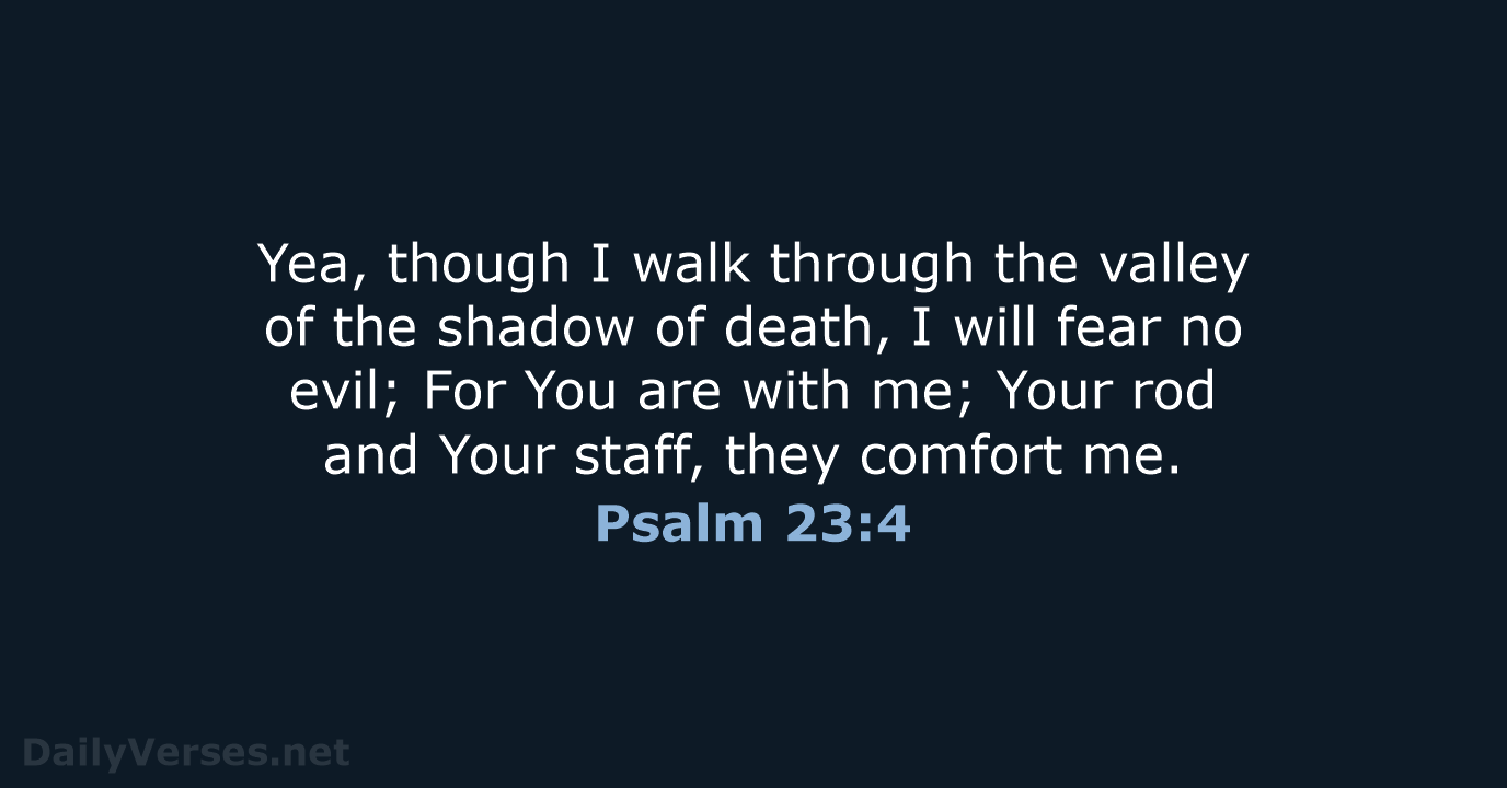 Psalm 23:4 - NKJV