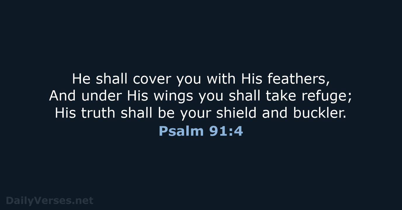 Psalm 91:4 - NKJV