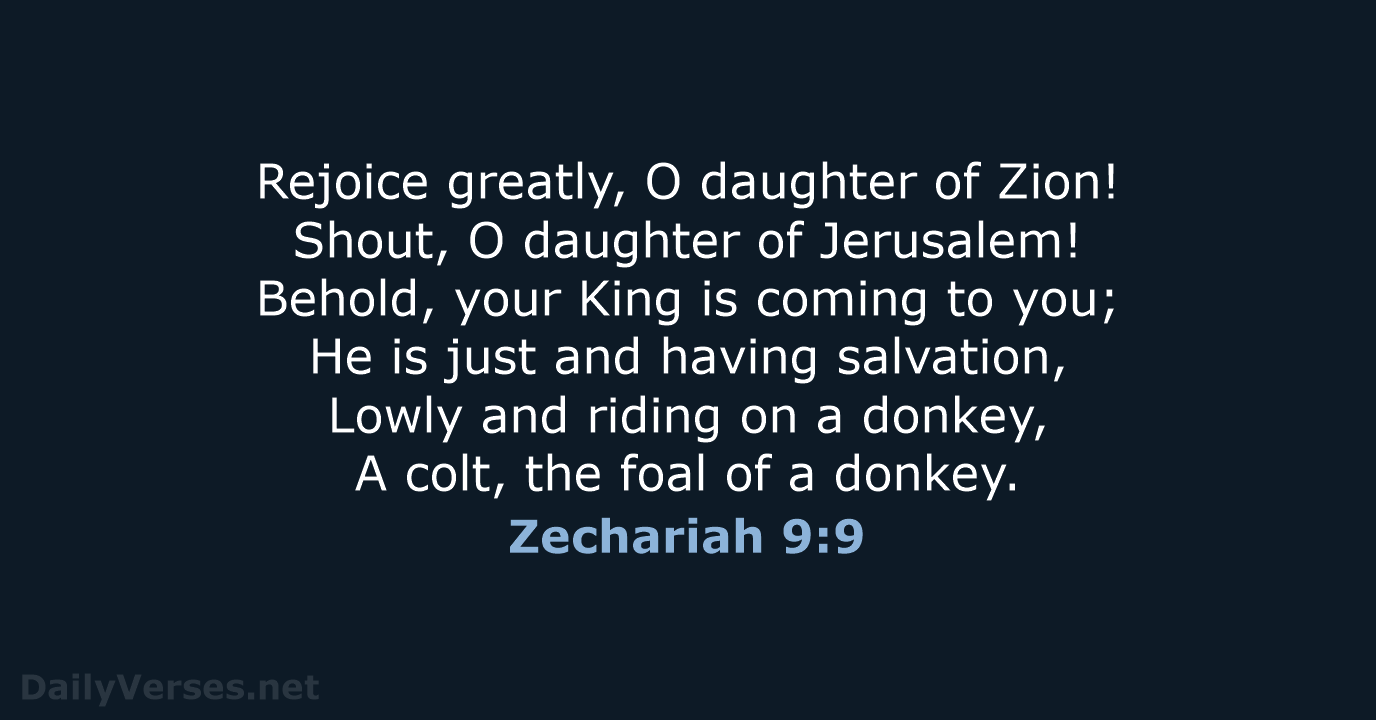 Zechariah 9:9 - NKJV