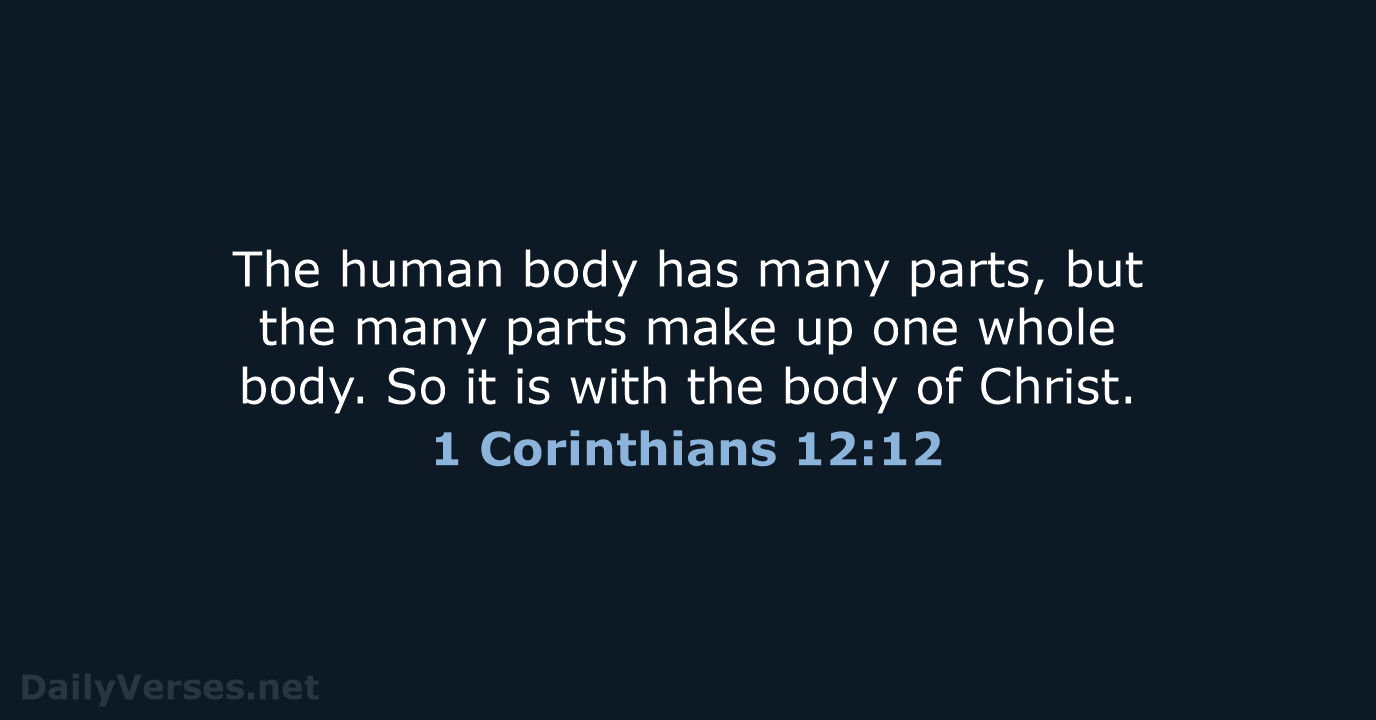 The human body has many parts, but the many parts make up… 1 Corinthians 12:12
