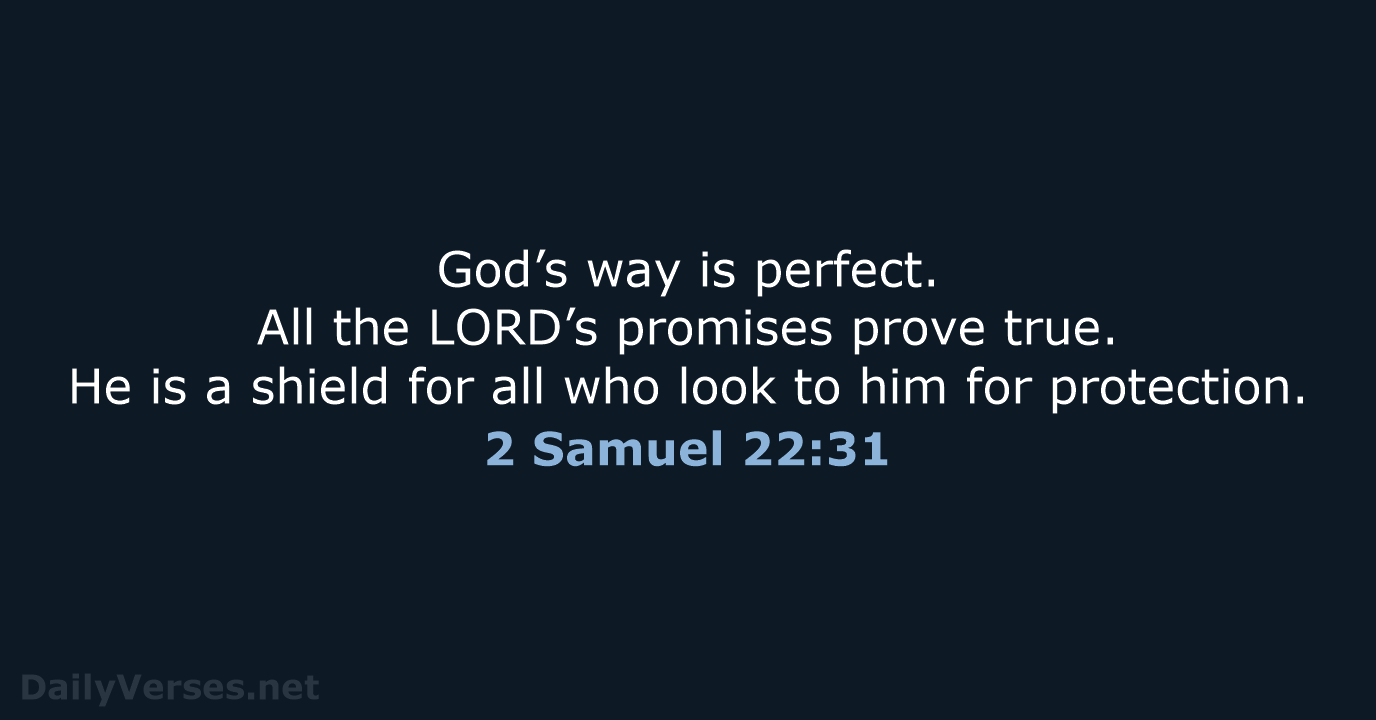 God’s way is perfect. All the LORD’s promises prove true. He is… 2 Samuel 22:31