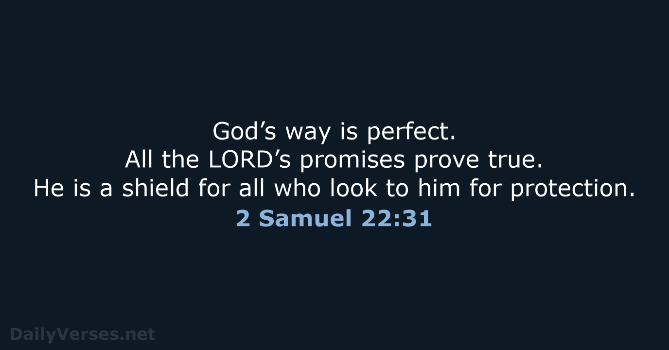 October 28, 2024 - Bible verse of the day (NLT) - 2 Samuel 22:31 ...