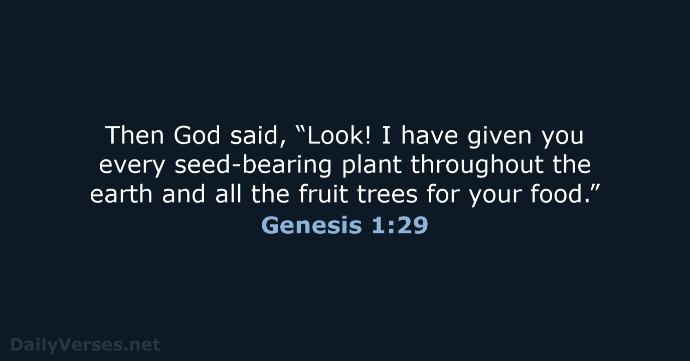 Genesis 1 29 Bible Verse NLT DailyVerses