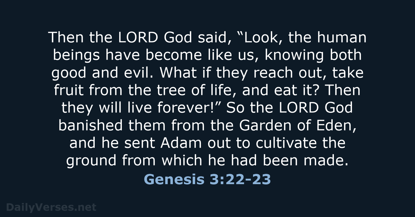 Then the LORD God said, “Look, the human beings have become like… Genesis 3:22-23