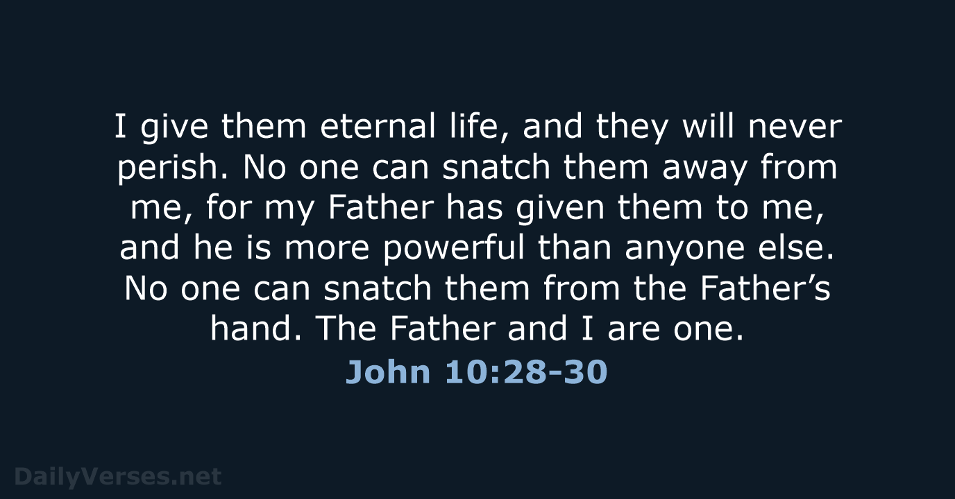 I give them eternal life, and they will never perish. No one… John 10:28-30