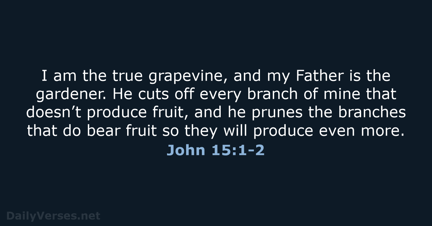 I am the true grapevine, and my Father is the gardener. He… John 15:1-2