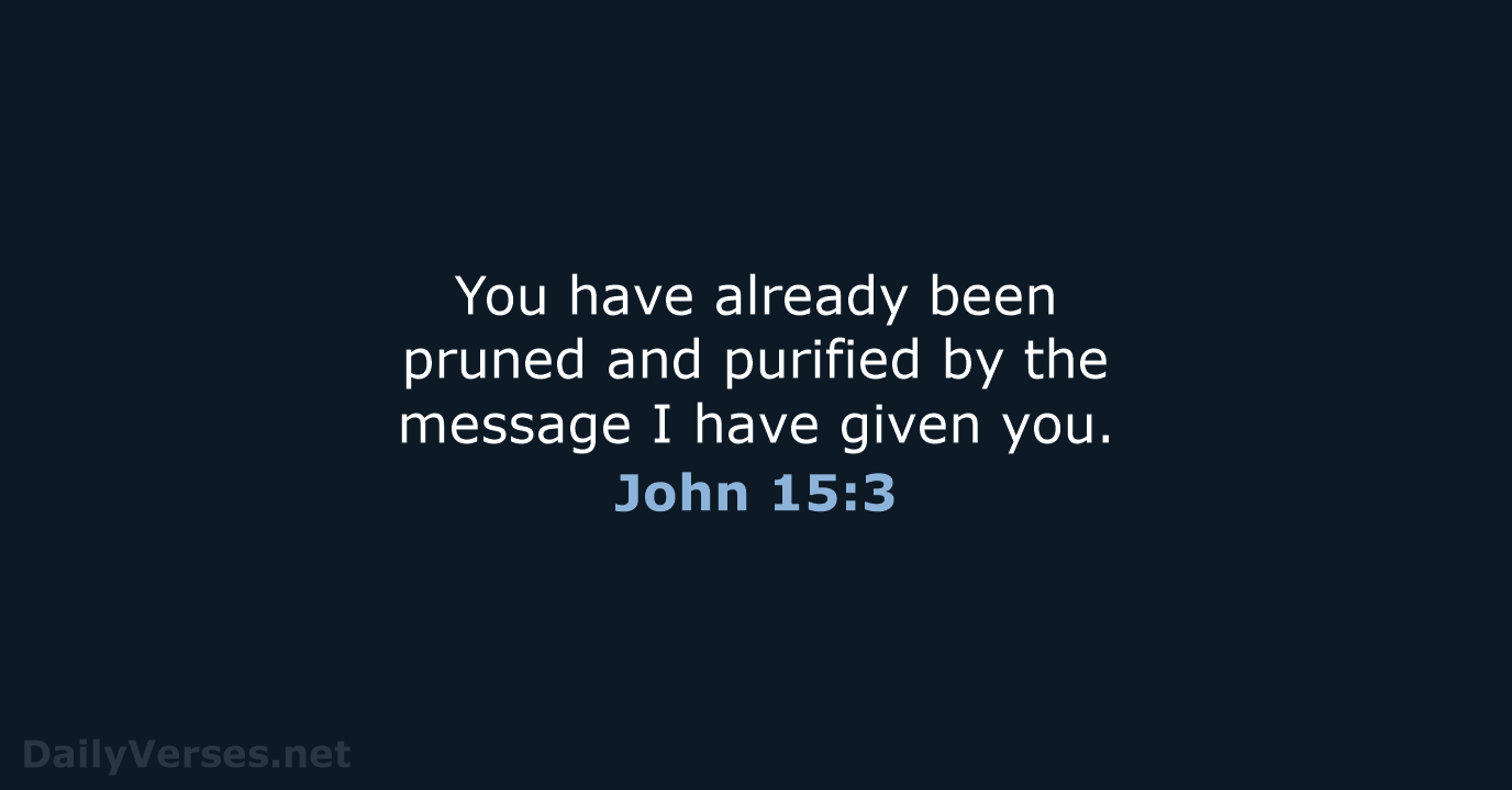 You have already been pruned and purified by the message I have given you. John 15:3