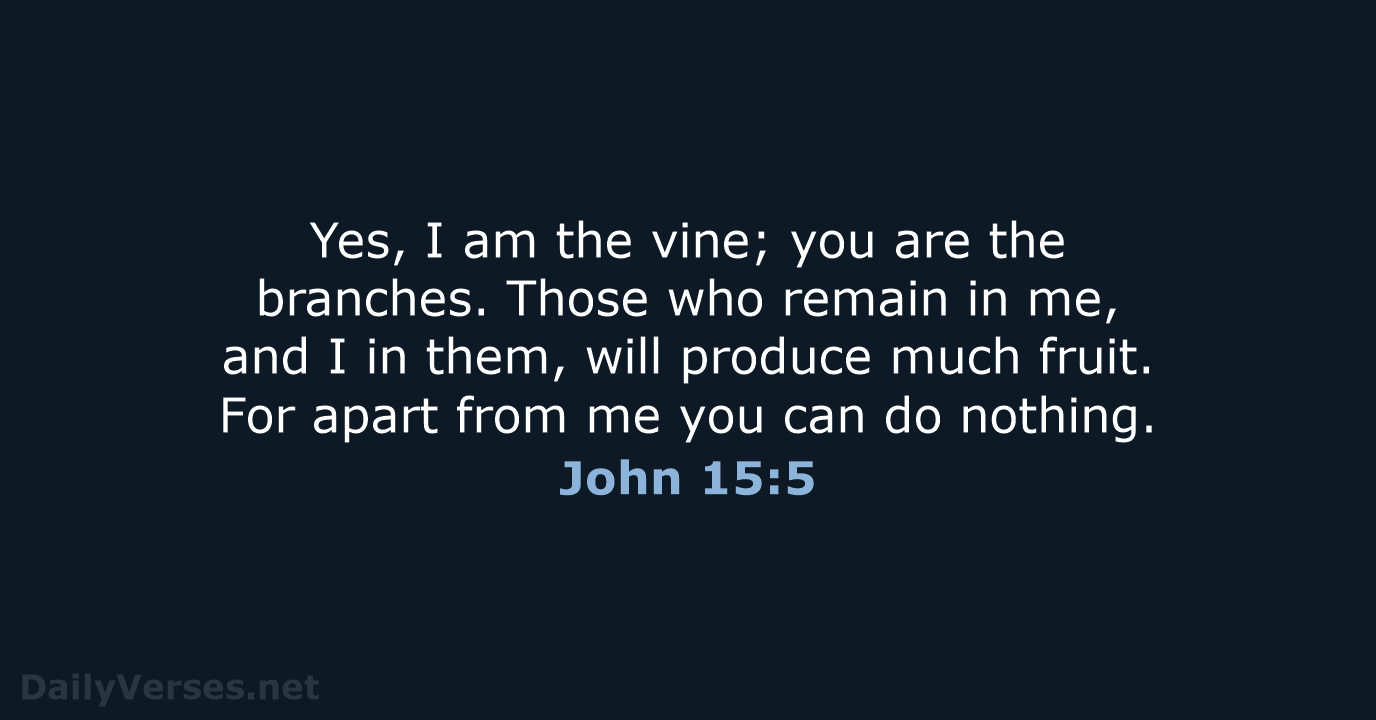 August 12 2021 Bible Verse Of The Day NLT John 15 5 