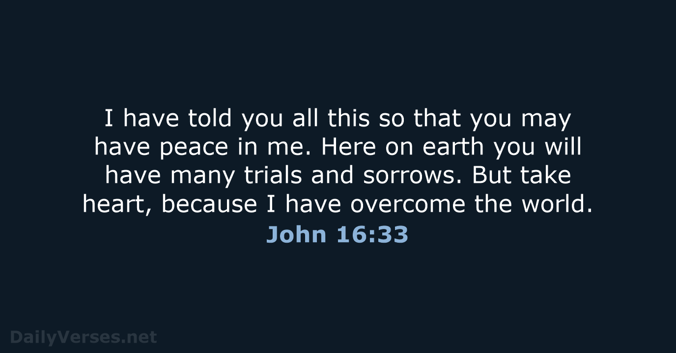 John 16:33 - NLT