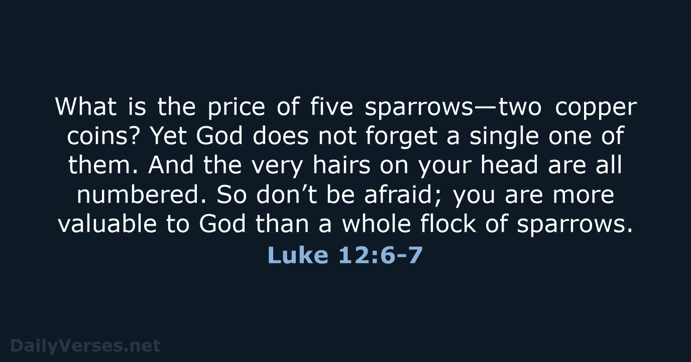 Luke 12:6-7 - NLT