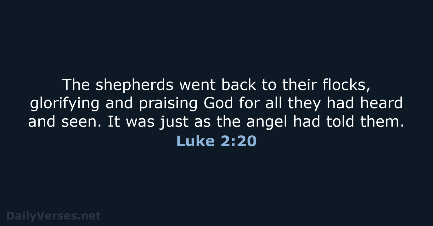 The shepherds went back to their flocks, glorifying and praising God for… Luke 2:20