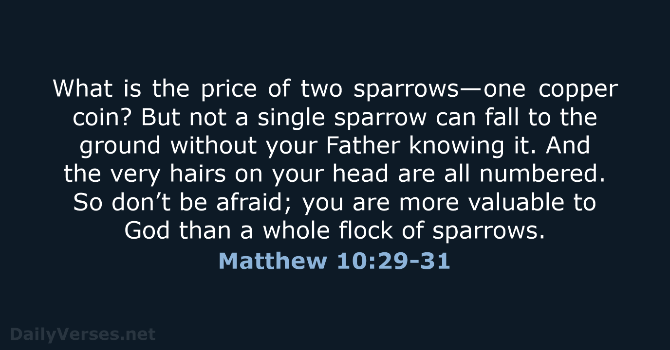 Matthew 10:29-31 - NLT