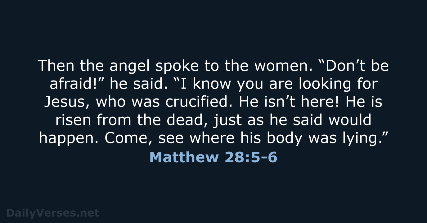 Then the angel spoke to the women. “Don’t be afraid!” he said… Matthew 28:5-6