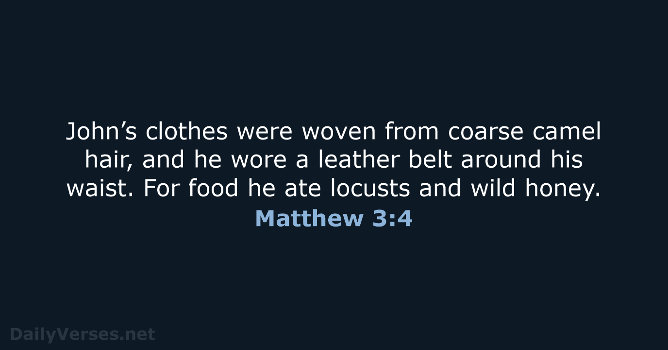 John’s clothes were woven from coarse camel hair, and he wore a… Matthew 3:4