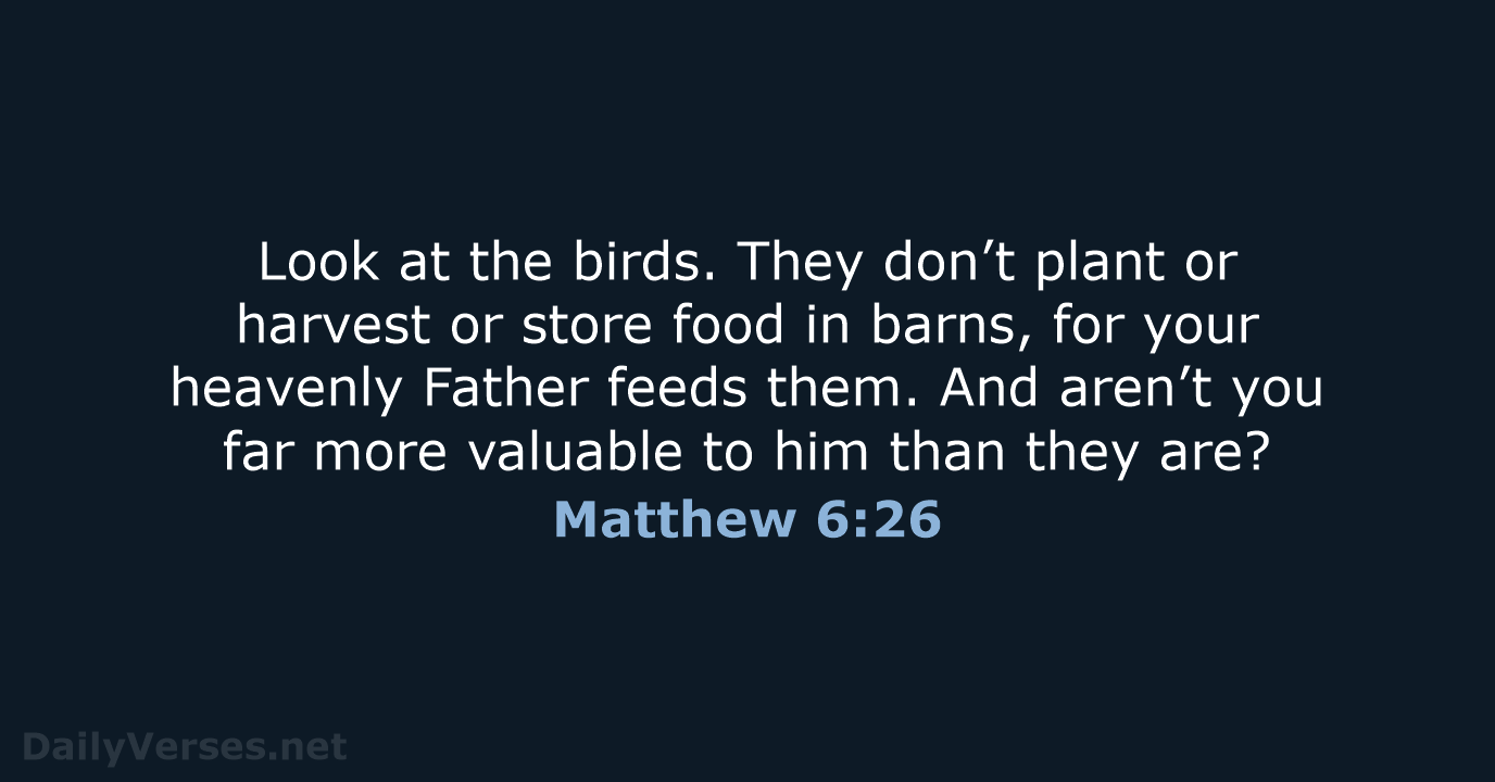 Matthew 6:26 - NLT