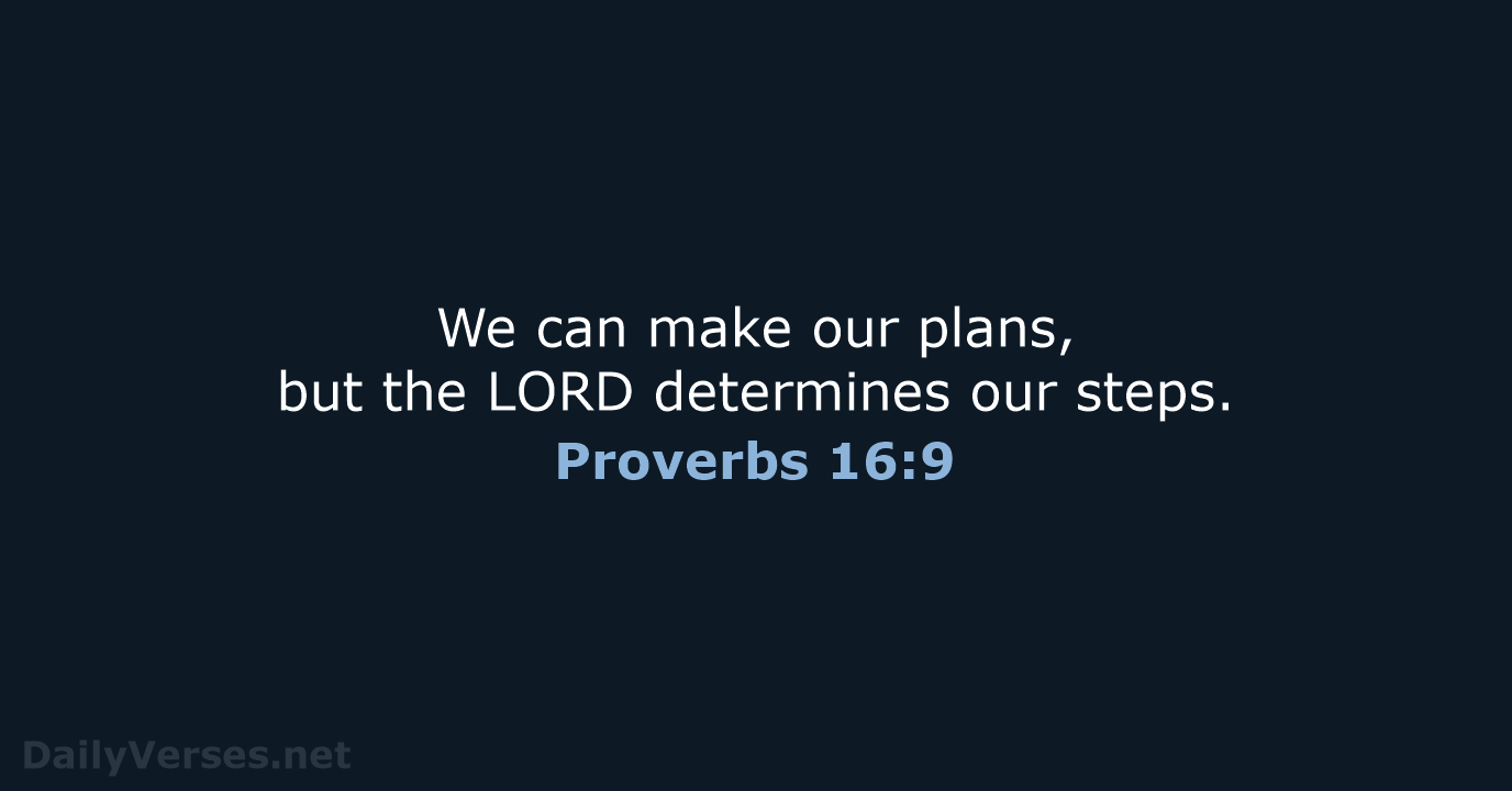 Proverbs 16:9 - NLT